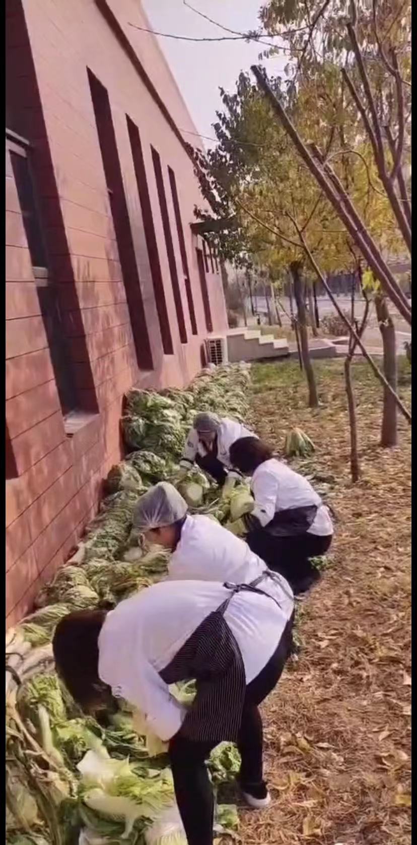 &#21326;&#20307;&#20250;&#104;&#116;&#104;